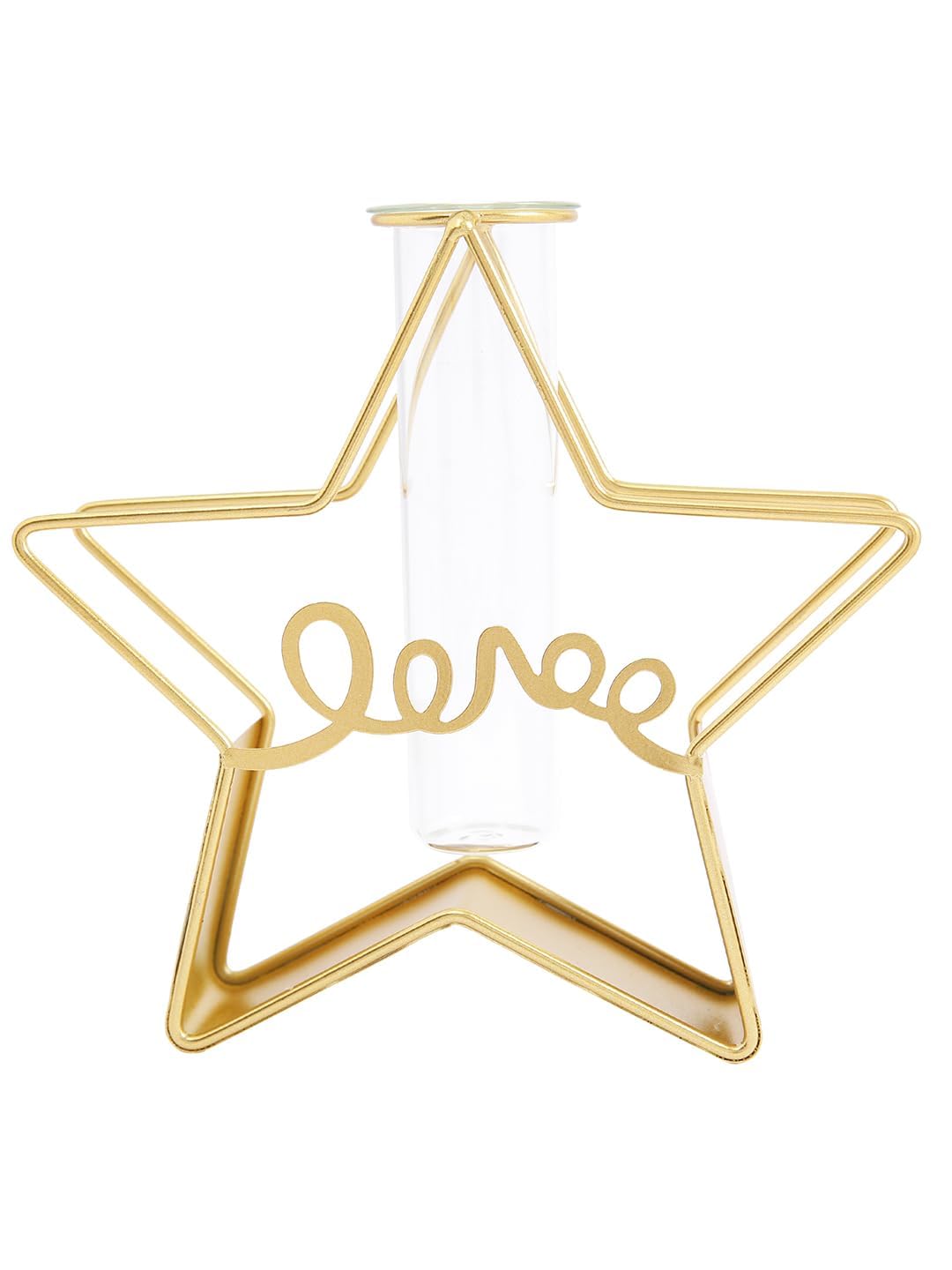 Metal star with Test-tube Planter-Stand