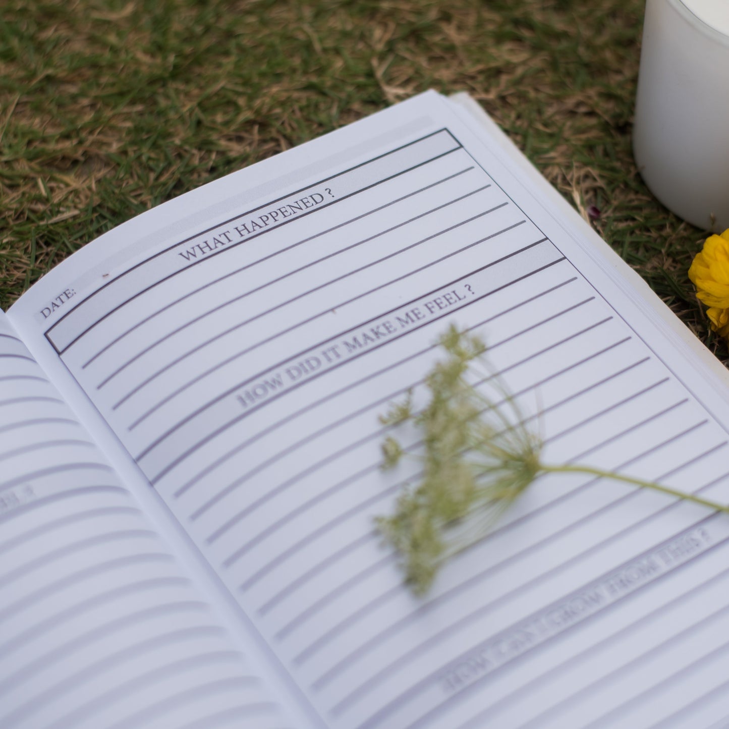 Feelings Journal – Reflect, Heal, and Grow with Mindful Writing