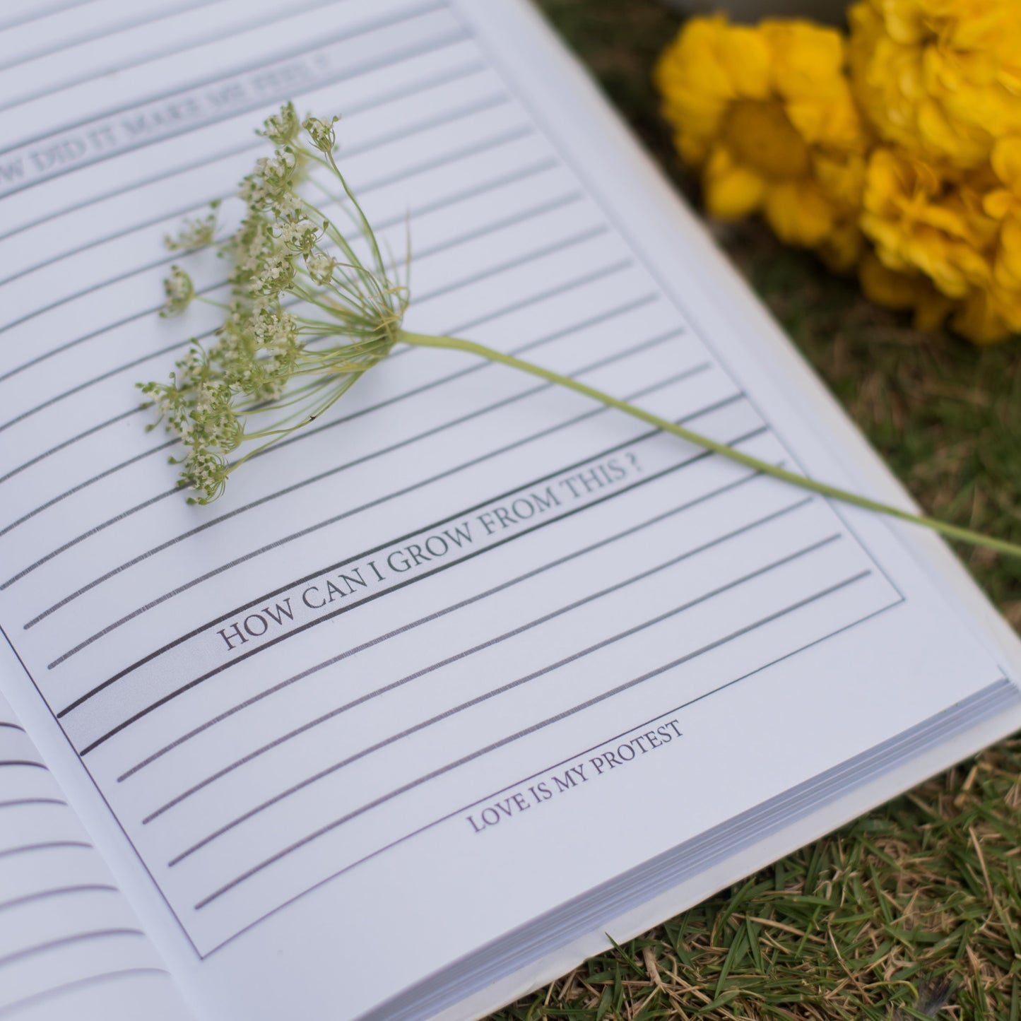 Feelings Journal – Reflect, Heal, and Grow with Mindful Writing