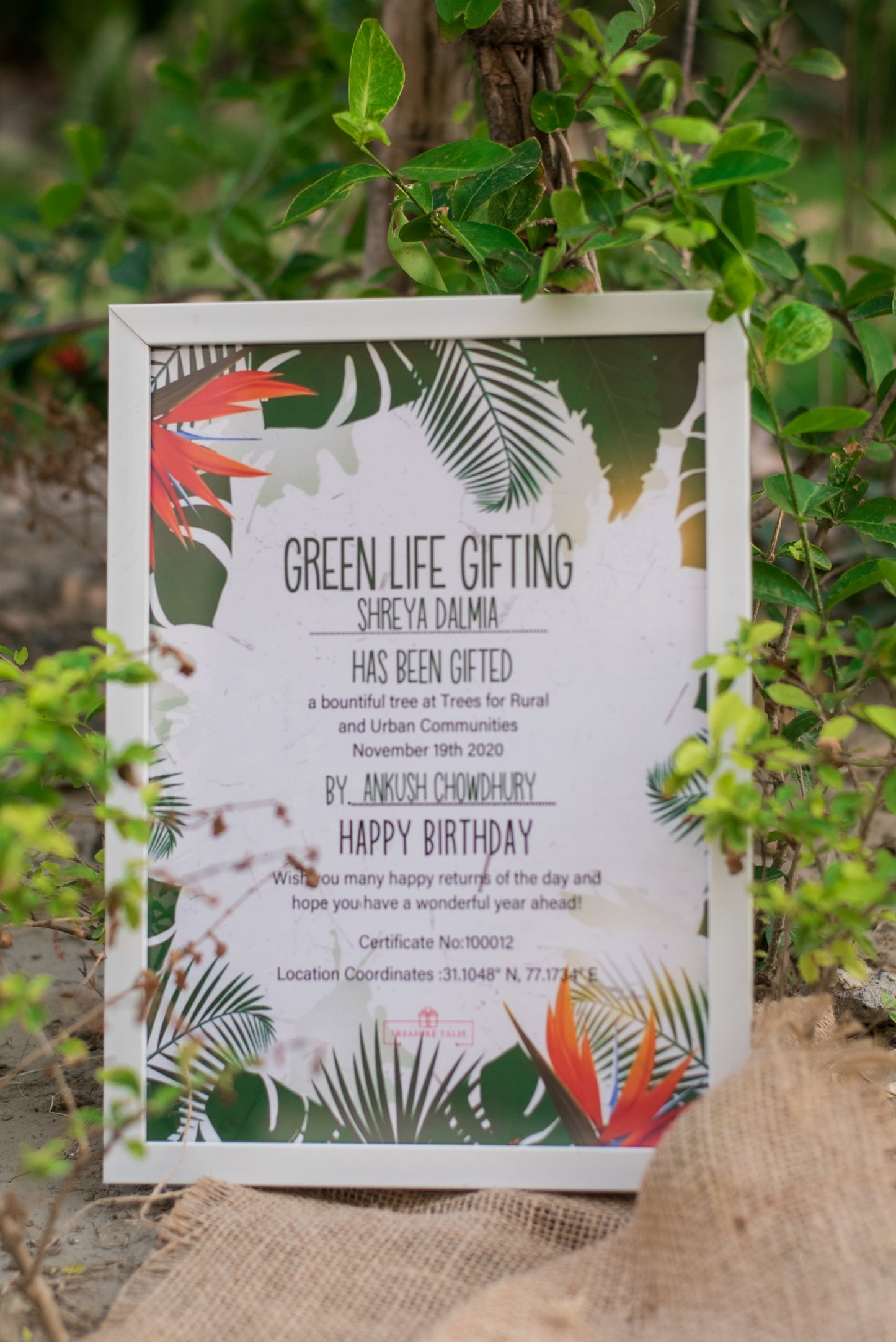 Green Life Gifting