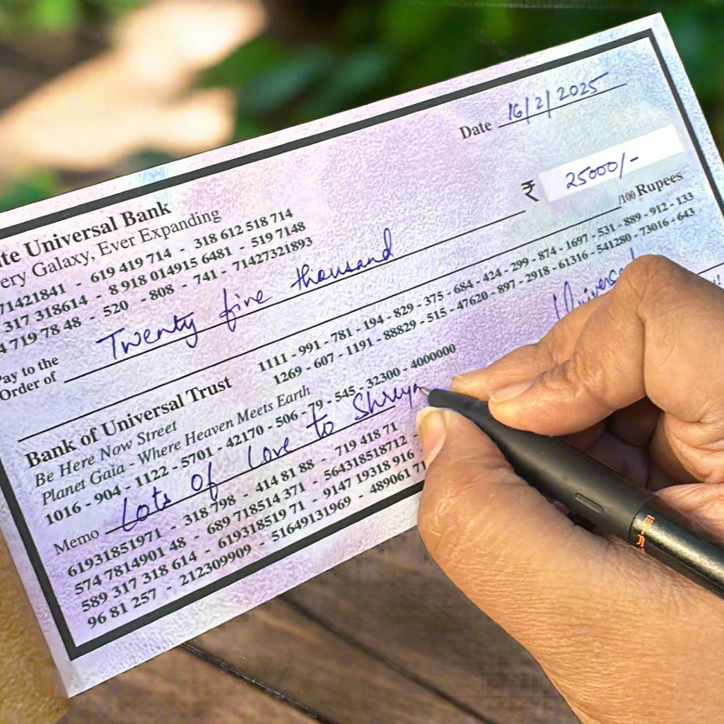 Abundance Cheque Book-Law Of Attraction, Money Manifestation Checks for Vision Board