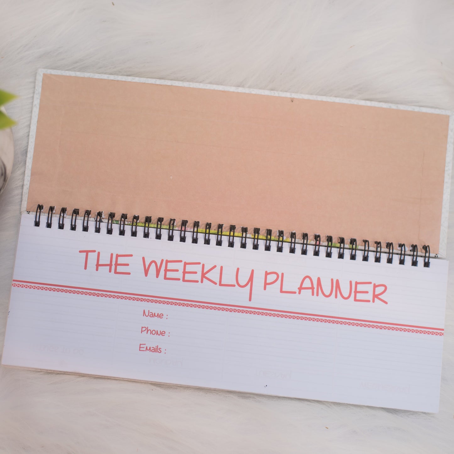Long Weekly Planner